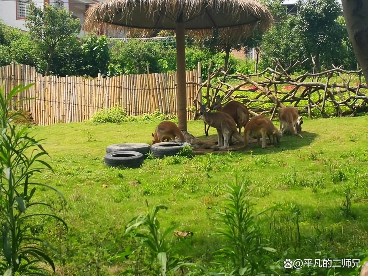 泉州有什么好玩的地方推荐（泉州9个经典好玩的景点） 第3张