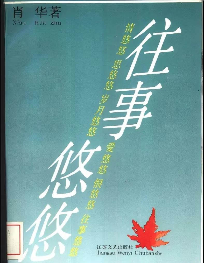 张末个人资料（二婚嫁老外，38岁儿女双全） 第3张
