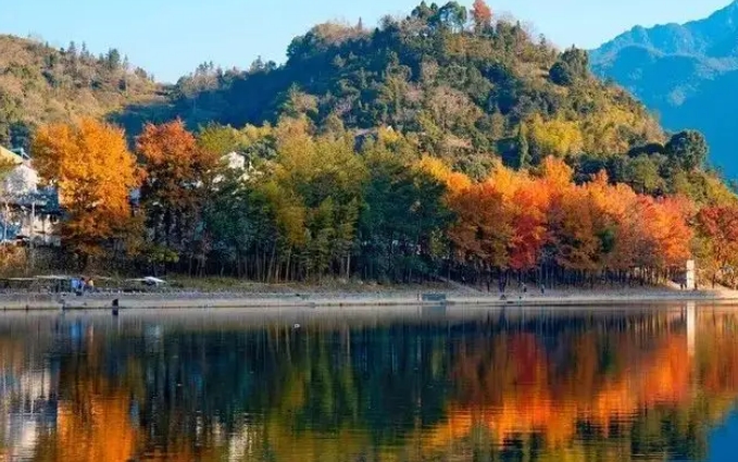 温州地区十大秋季旅游景点推荐（盘点温州秋天适合去游玩的地方） 第1张