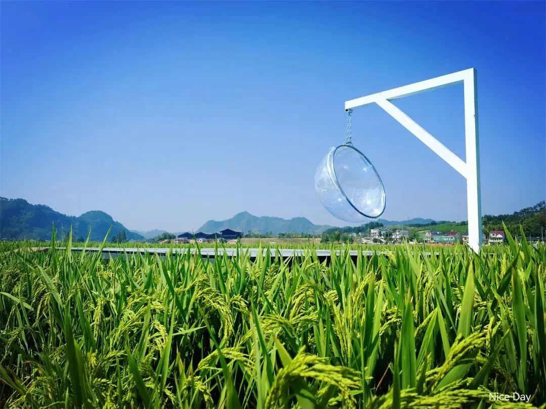 临安有哪些好玩的景点（浙江临安秋季景点推荐） 第37张