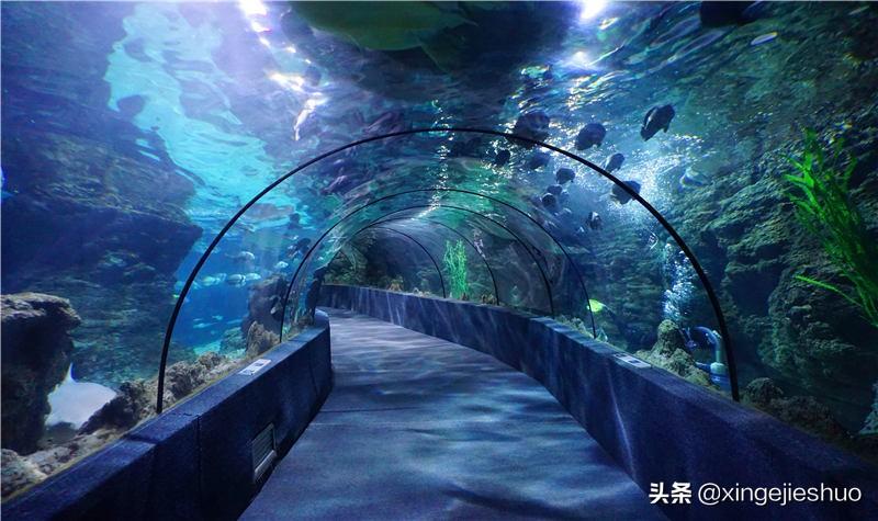 南昌有什么好玩的地方（南昌旅游必去的16个景点） 第31张