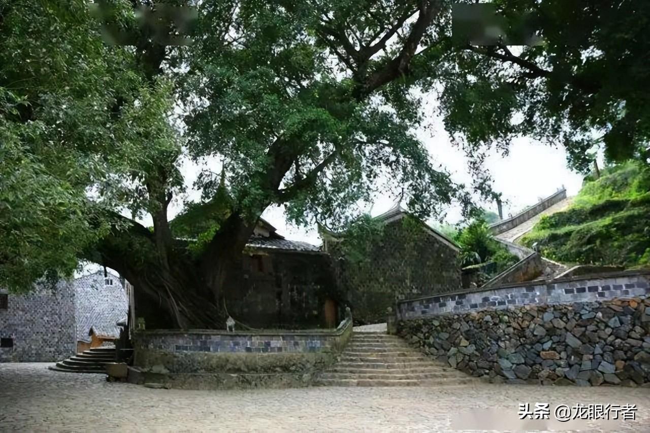 霞浦必去的景点（霞浦11个值得去的景点推荐） 第15张