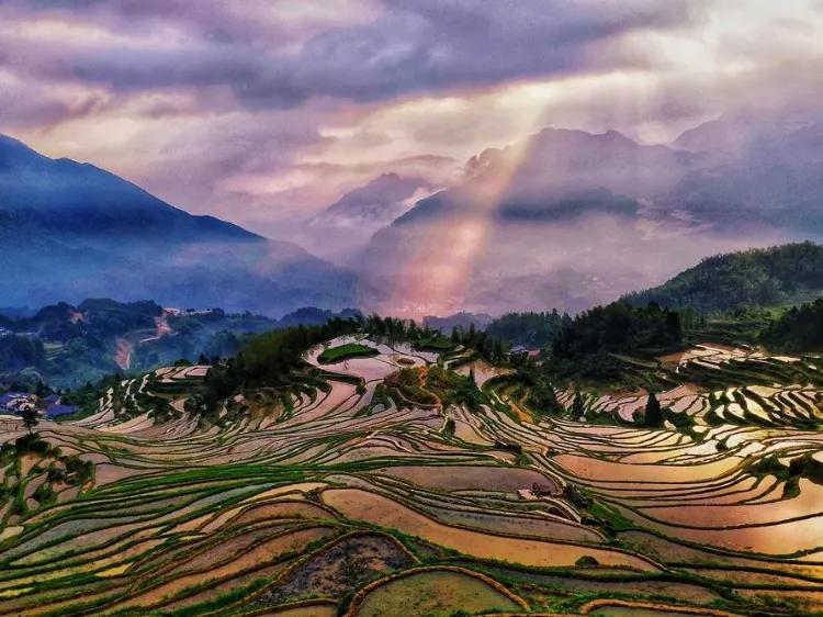 丽水旅游景点哪里好玩（丽水市十二个值得游玩的景点） 第7张