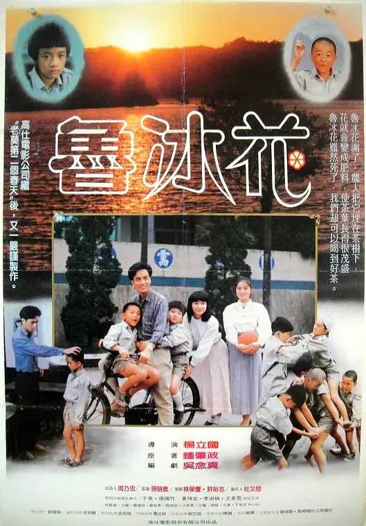十大好看的高评分催泪电影（国产高分虐心催泪电影推荐） 第15张