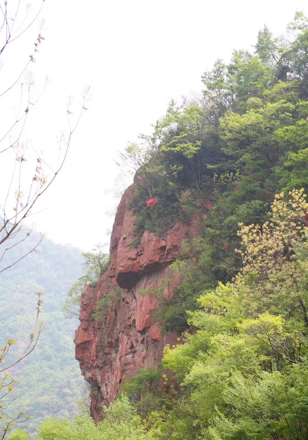 安徽金寨旅游景点攻略（金寨旅游必去的景点推荐） 第19张