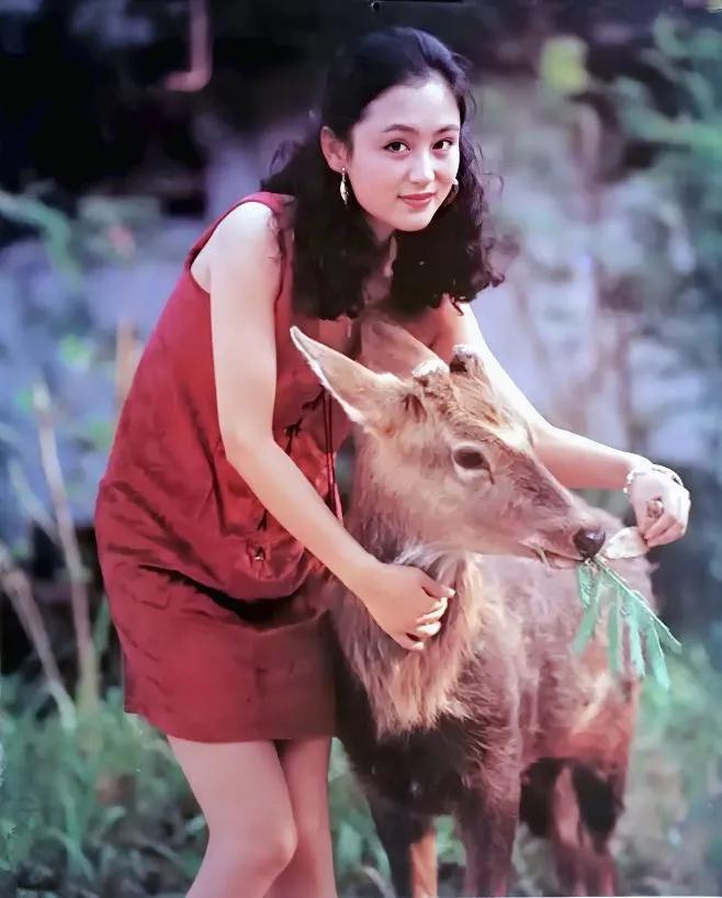 陈红个人资料（“内地第一美女”：28岁嫁给名导） 第23张