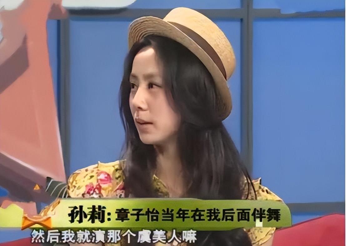 孙莉个人资料（黄磊妻子孙莉：40岁生三胎） 第5张