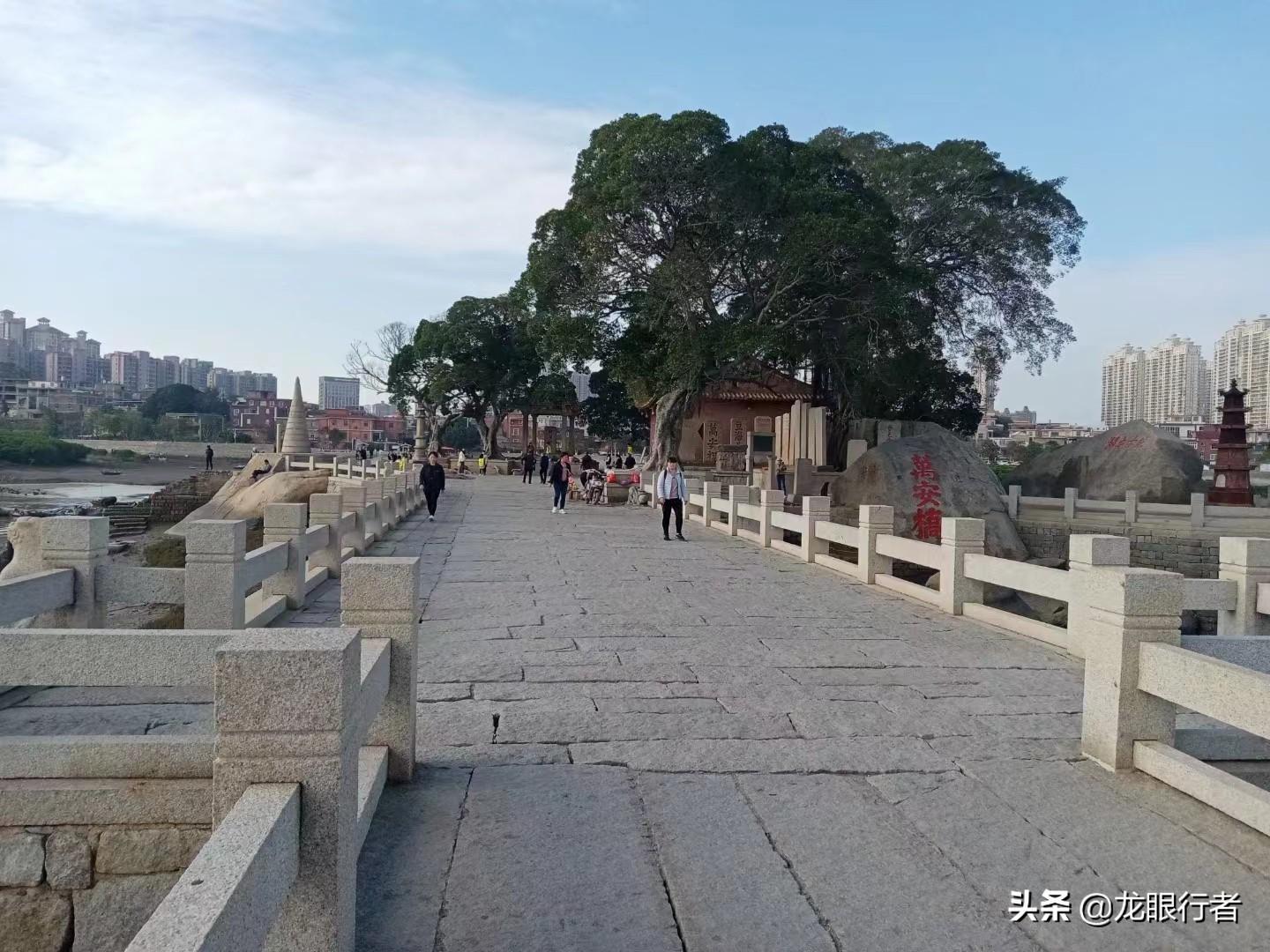 泉州市哪里好玩的景点（泉州一日游必去景点） 第3张