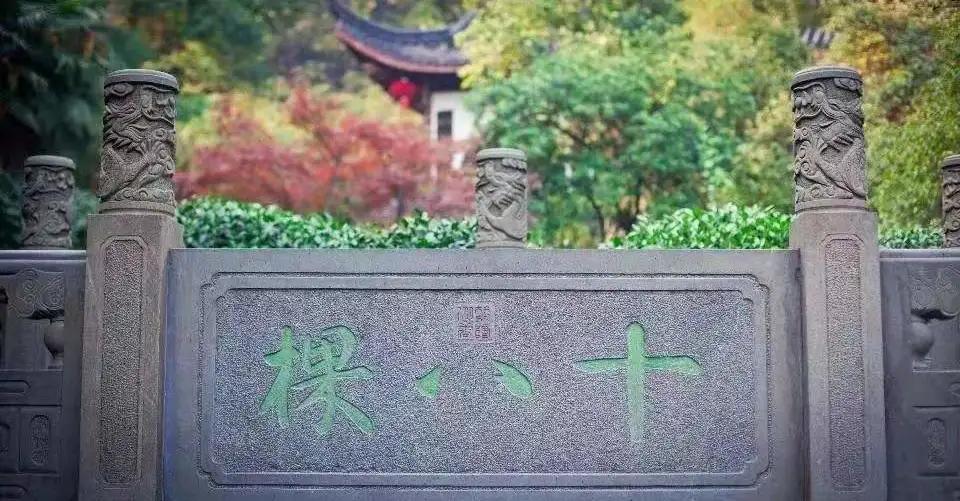 中国最贵的茶叶前十名（盘点国内最贵的十大天价茶） 第19张