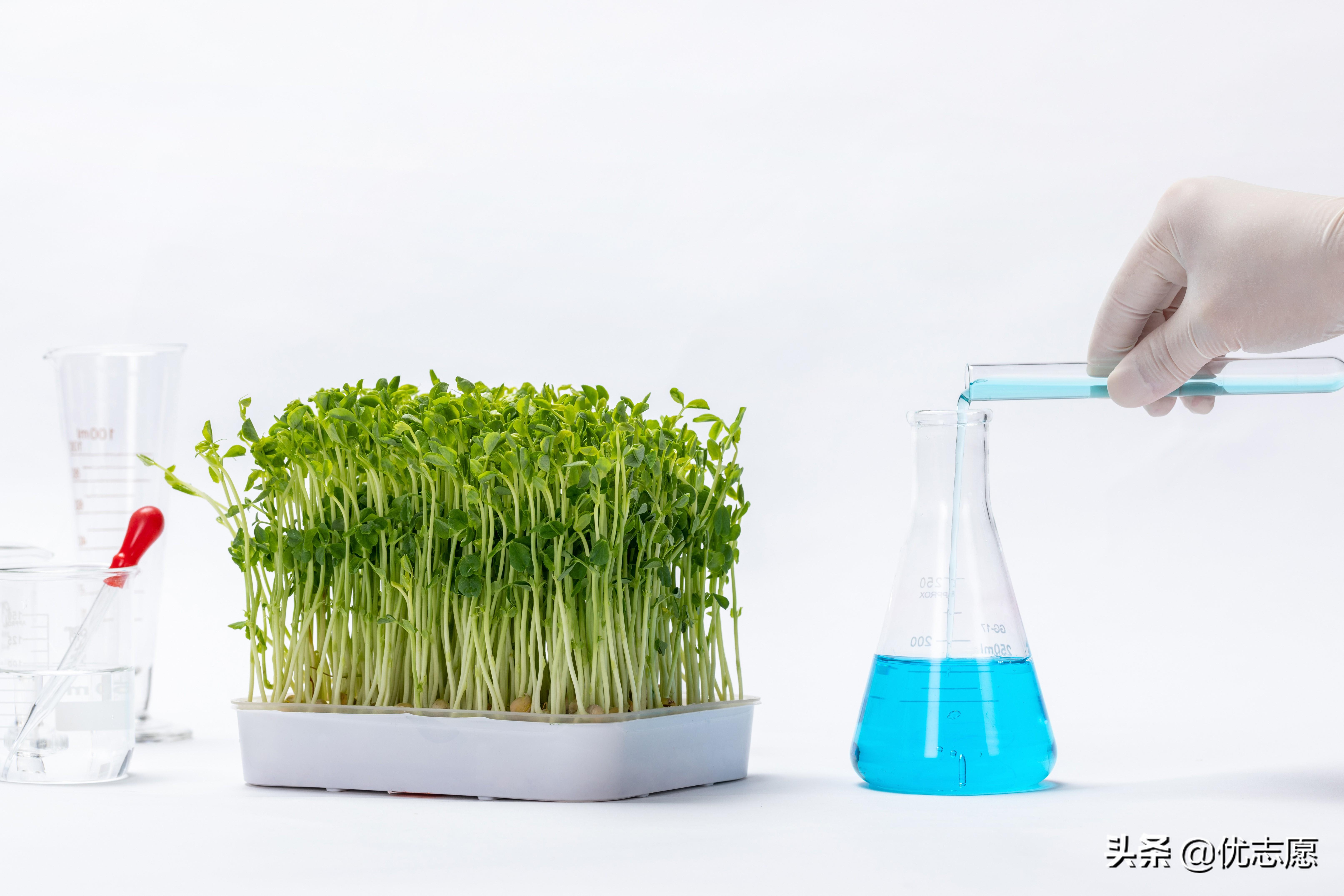 生物工程就业前景好不好？生物工程专业就业现状分析 第1张
