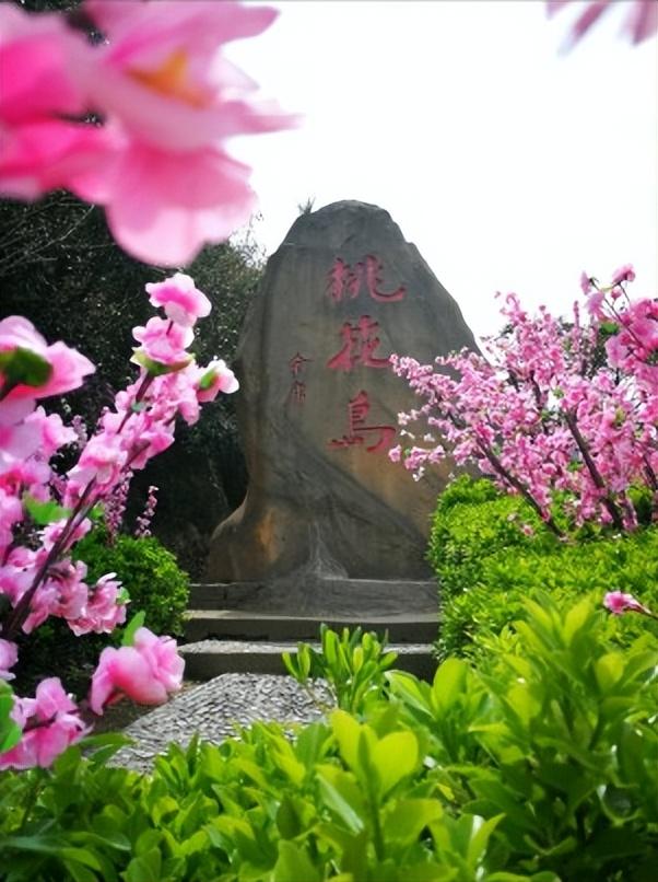 舟山有什么好玩的地方（舟山八大景点推荐） 第33张