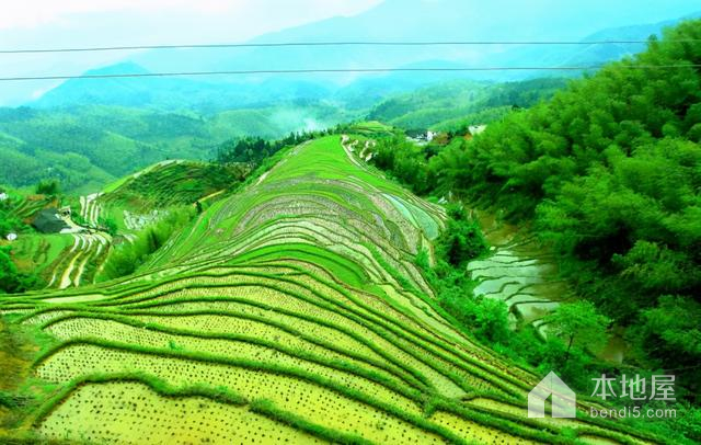 赣州旅游必去的旅游景点（赣州旅游十大景点排行榜） 第11张