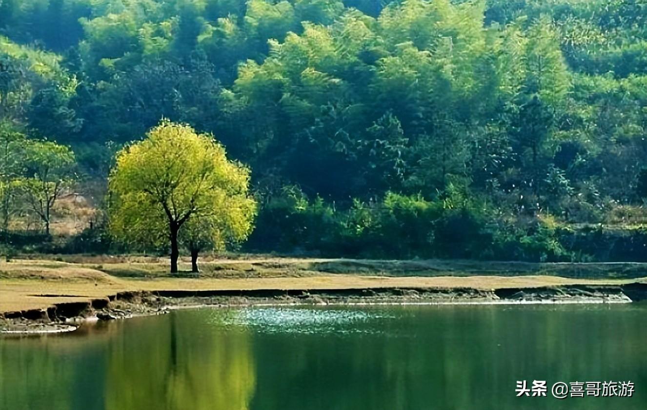 嵊州周边旅游景点有哪些（绍兴嵊州自驾游十大景区推荐） 第21张