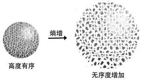 丧尸病毒有可能出现吗？网友：真有就见鬼了 第11张