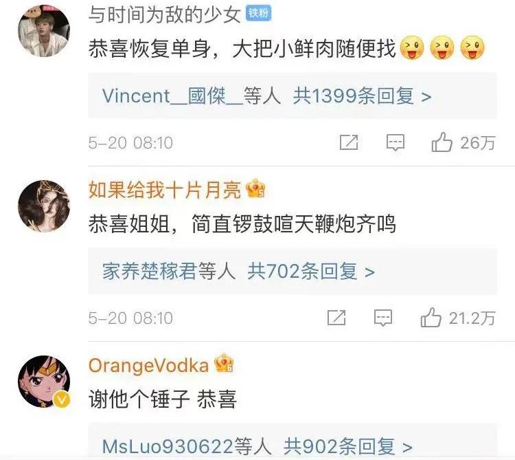 佟丽娅陈思诚520官宣离婚：结婚6年被曝6次出轨，她终于不忍了 第5张