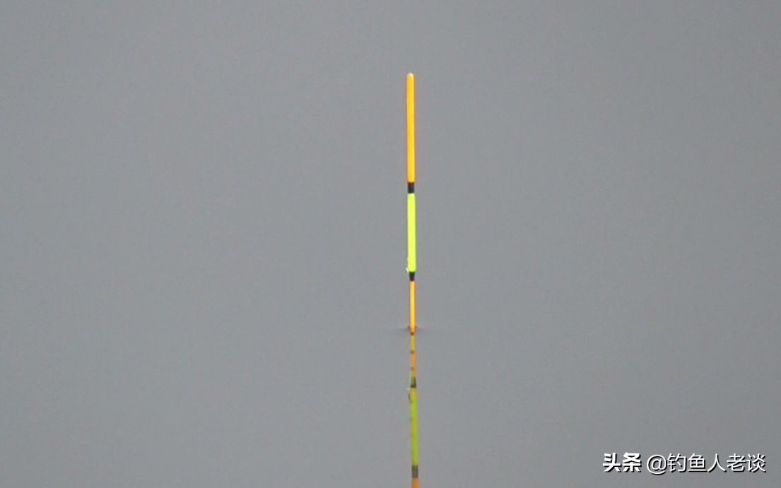 台钓基础技巧-浮漂的3种分类及其特点，建议钓鱼新手看完后收藏 第7张