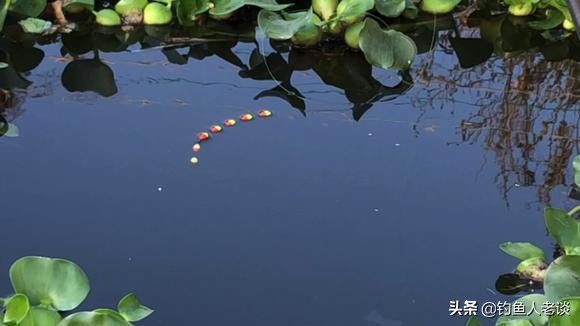 台钓基础技巧-浮漂的3种分类及其特点，建议钓鱼新手看完后收藏 第13张