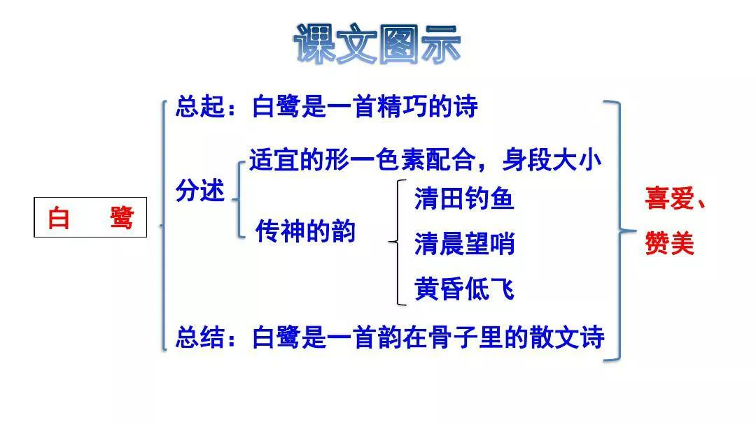 五年级语文上册第一课《白鹭》课文解析，暑假预习的好帮手 第3张