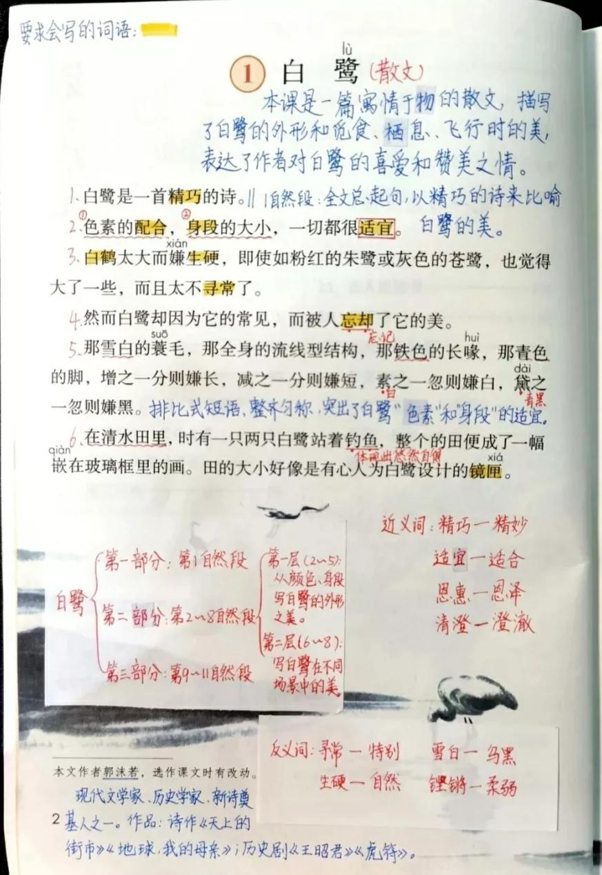 五年级语文上册第一课《白鹭》课文解析，暑假预习的好帮手 第5张