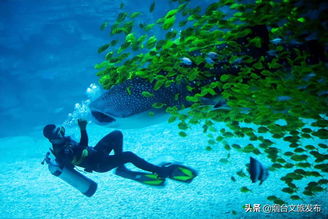 带孩子到烟台，这么玩儿就对了！ 第11张