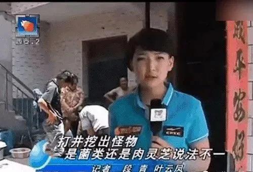 女记者太岁事件什么梗？都市快报女记者跟太岁是什么梗? 第67张