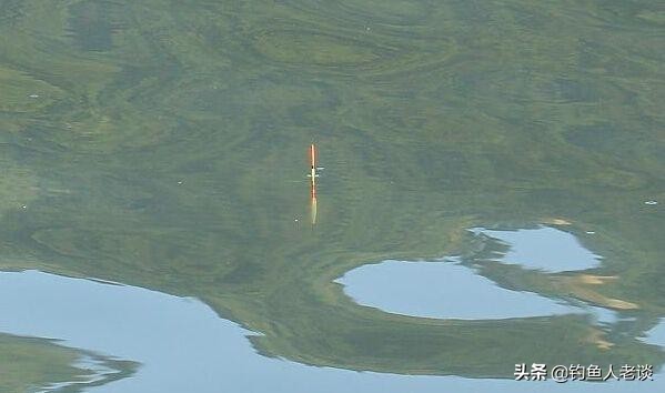 台钓基础技巧-浮漂的3种分类及其特点，建议钓鱼新手看完后收藏 第5张