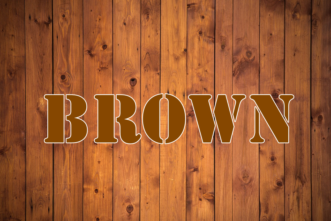 自学英语 每日一词：brown 第1张
