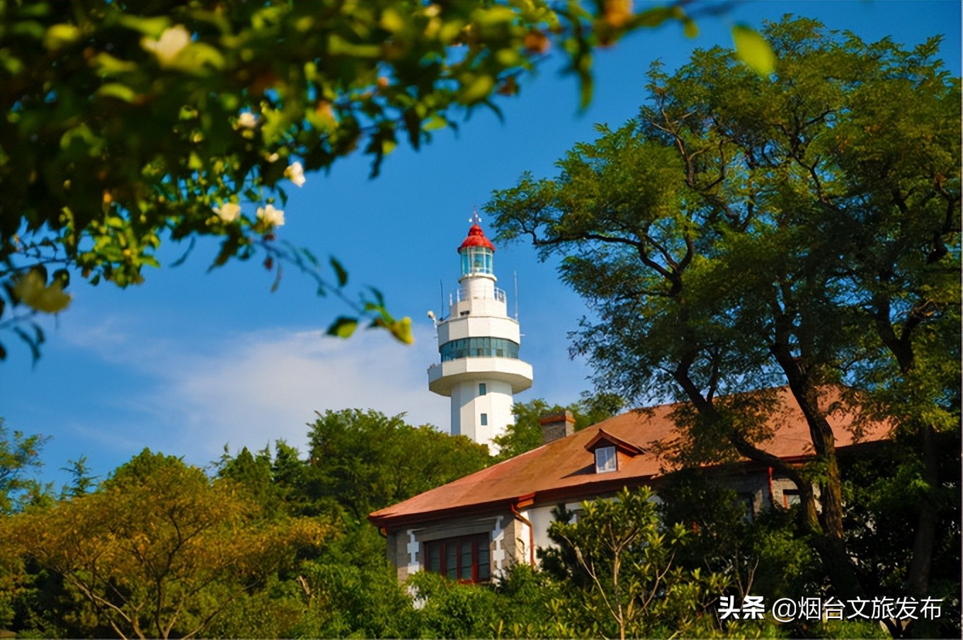 带孩子到烟台，这么玩儿就对了！ 第5张