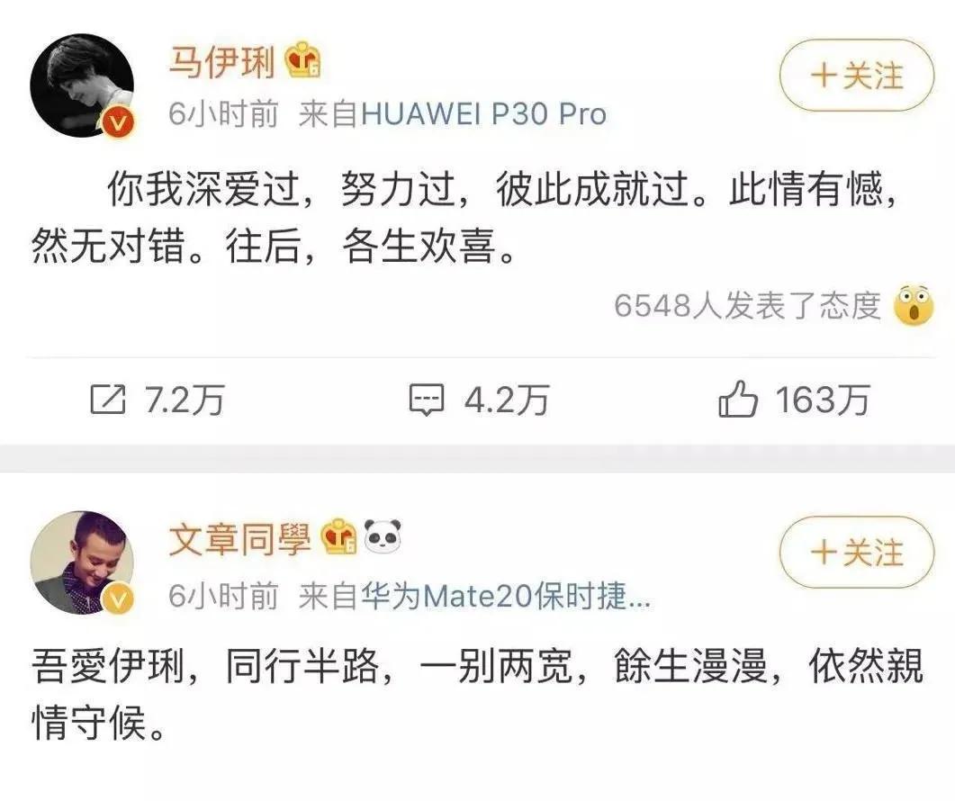 佟丽娅陈思诚520官宣离婚：结婚6年被曝6次出轨，她终于不忍了 第27张