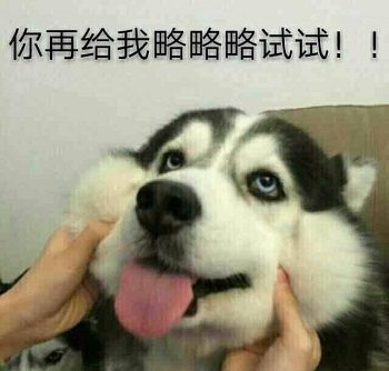 中国第一女团画风就这？未成年就419，插足老师家庭还调戏导师 第1张