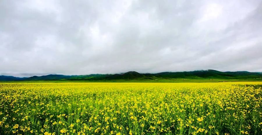 12个青海最值得去的地方，个个美如画，少去一个都可惜 第67张