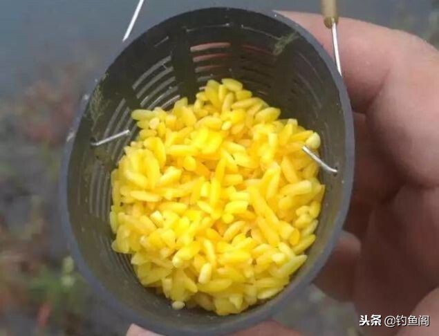 关于钓鱼的10个冷门小技巧：简单却很实用，新手不可错过 第5张