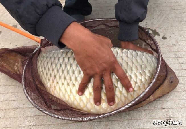 关于钓鱼的10个冷门小技巧：简单却很实用，新手不可错过 第19张