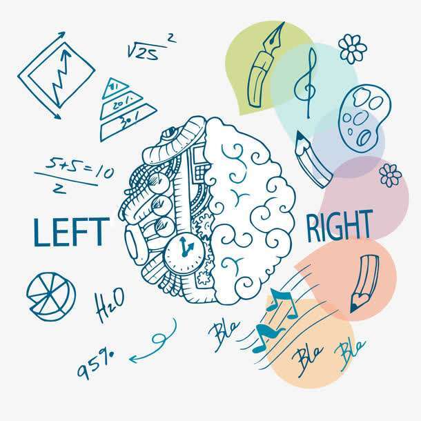 《怪诞脑科学》| 打造属于你与众不同的克鲁机 第3张