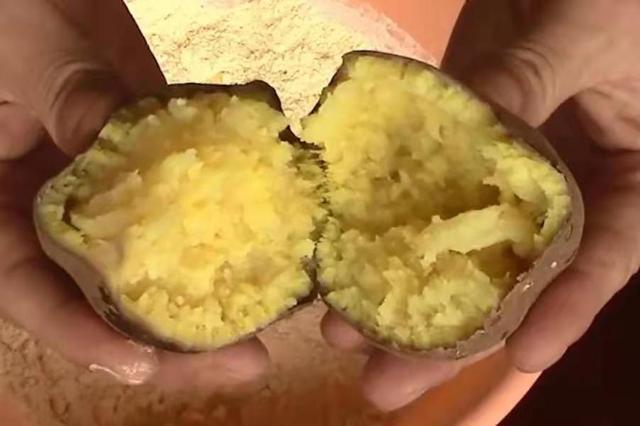 这4种天然小药，简单实用，关键鲫鲤鱼特爱吃 第1张