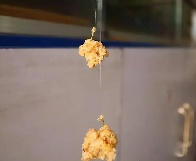 入秋之后，把控好钓饵的这两点，钓的都是大板鲫 第7张