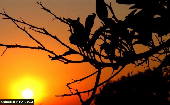 拍摄日落夕阳的5个技巧 第3张