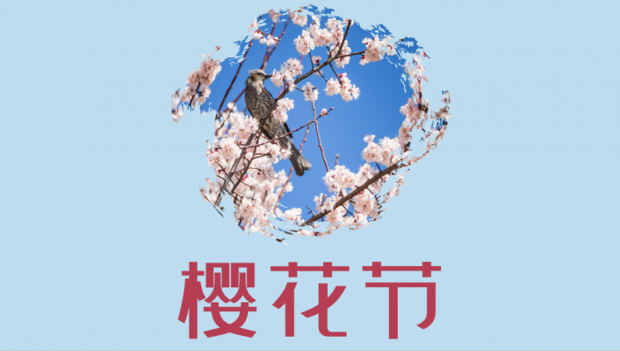 4个高级的PPT制作技巧，效果堪比PS 第3张