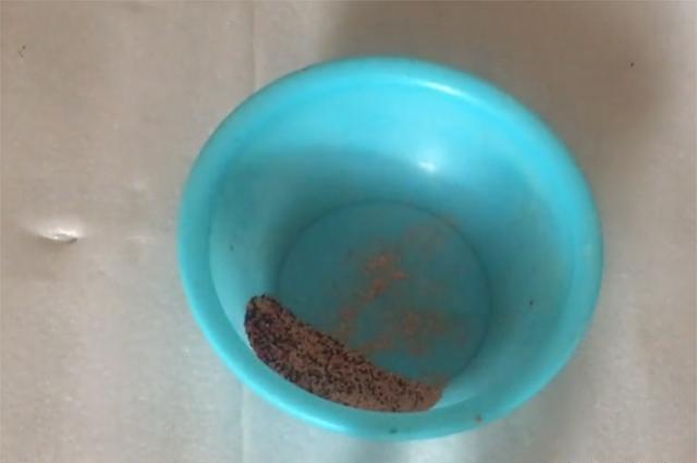 蓝鲫“蘸”着用，钓鱼效果远比拉着用强 第9张