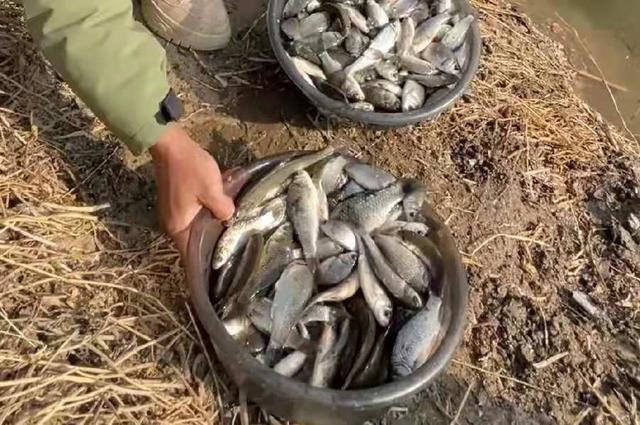 就这特效鲫鱼饵料，一般商品饵还真没法比 第5张