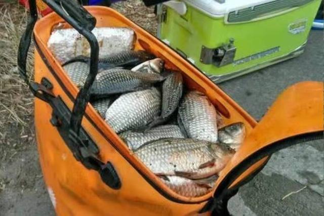 这种鲫鱼特效饵，做法非常简单，避杂鱼抗水流 第7张