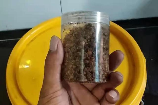 鲫鲤鱼好钓有诀窍，换用这特效饵，上鱼又快又狠 第1张