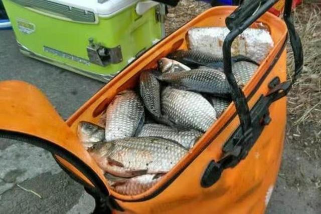 春天对付大板鲫，唯独这饵料用法才最靠谱 第5张