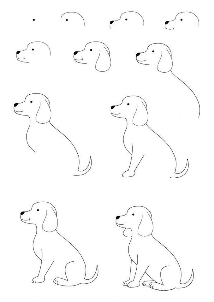 21个0基础绘画小教程，简单几步画出卡通动物，好可爱 第31张