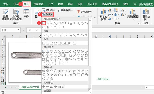 Excel教程：如何在表格插入的图片里加入文字 第9张