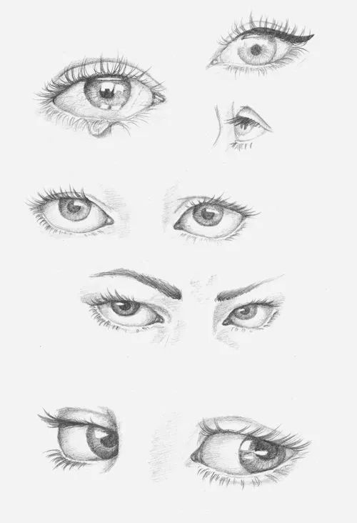 素描画不好？临摹一下这些零基础教程！ 第15张