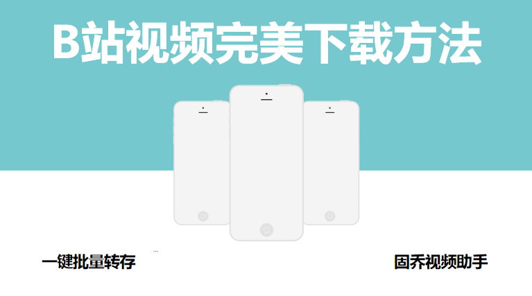 一个干货视频：B站视频完美下载方法 第1张