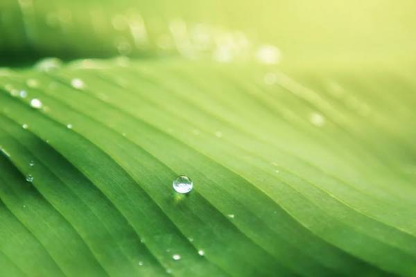 雨天照片拍摄技巧 第21张