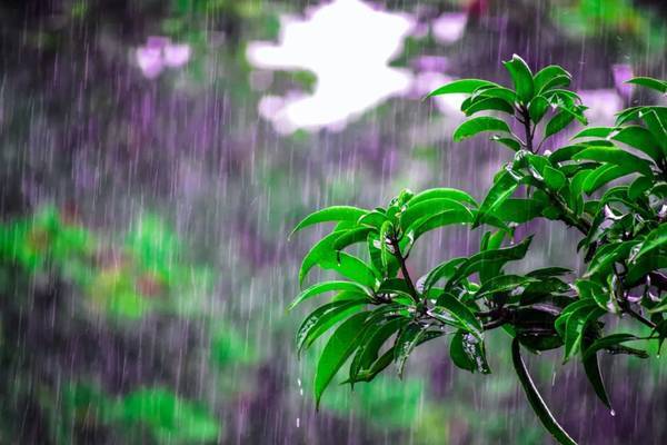 雨天照片拍摄技巧 第25张