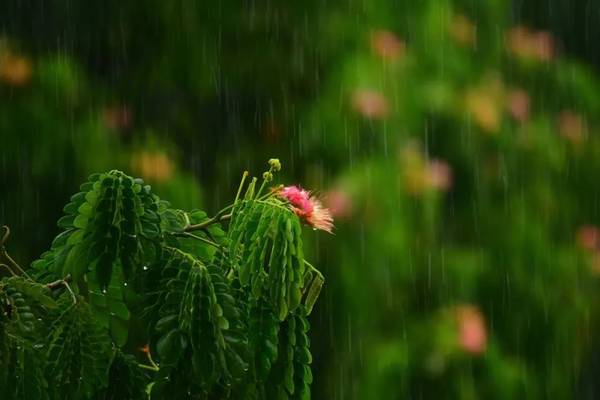雨天照片拍摄技巧 第27张